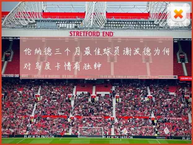 伦纳德三个月最佳球员谢泼德为何对乌度卡情有独钟